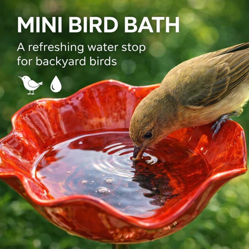 🛩️Letzter Tag der Aktion/🐦 Handgefertigter Blumen-Gartenstecker aus Metall – Vogelbad & Außendekoration für Naturliebhaber 🌸