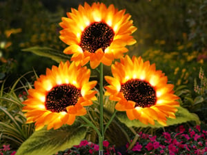 🌻Mother's Day Sale 49% OFF 🔥- 🌞Solar LED Sunflower Garden Lights-29.6inch/74cm