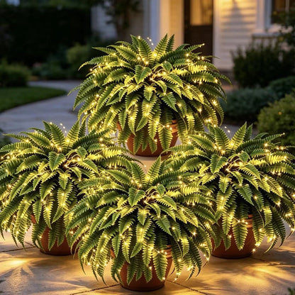 💛Glowing Boston Ferns with Lights -  🍃 Zero Watering, Zero Maintenance