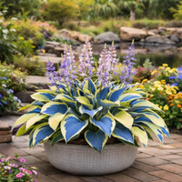 Azure Whisper Garden