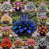 🔥Set Of 9 Colors (🎁Best Price)