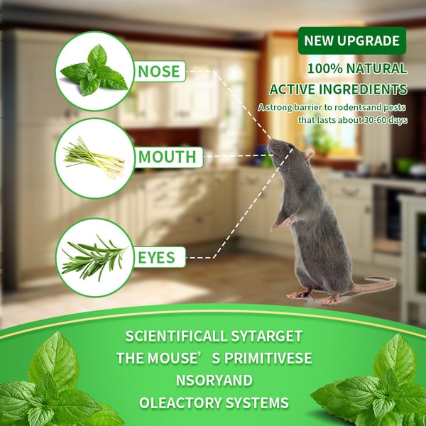 🛩️FLASH SALE/12 Pack Peppermint Pest Repellent Balls - Mice Rats Spiders Gone! ✅