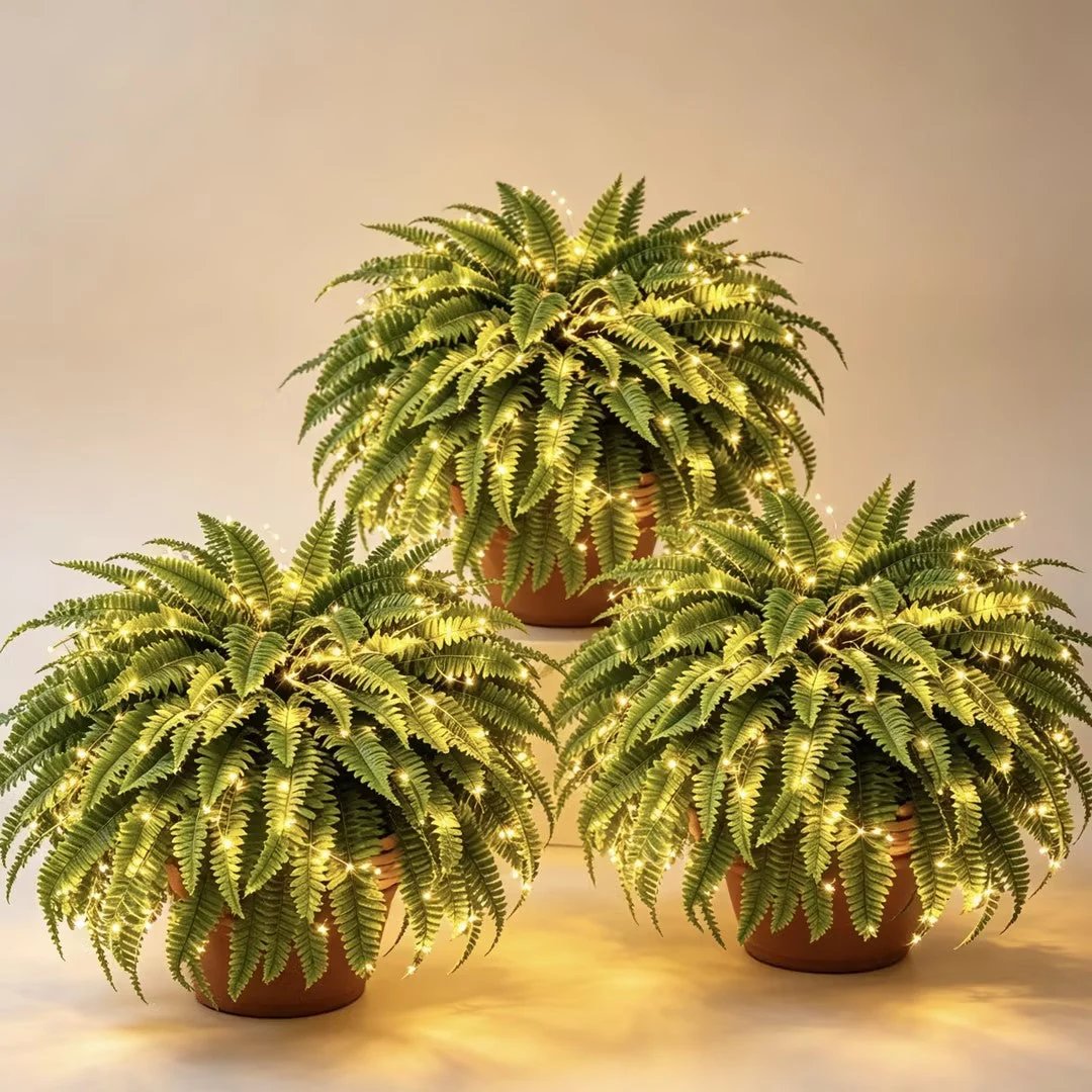 💛Glowing Boston Ferns with Lights -  🍃 Zero Watering, Zero Maintenance