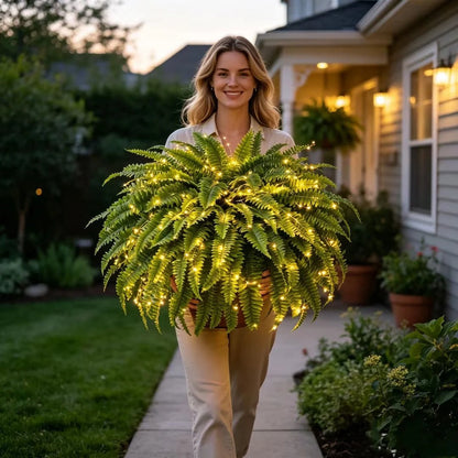 💛Glowing Boston Ferns with Lights -  🍃 Zero Watering, Zero Maintenance